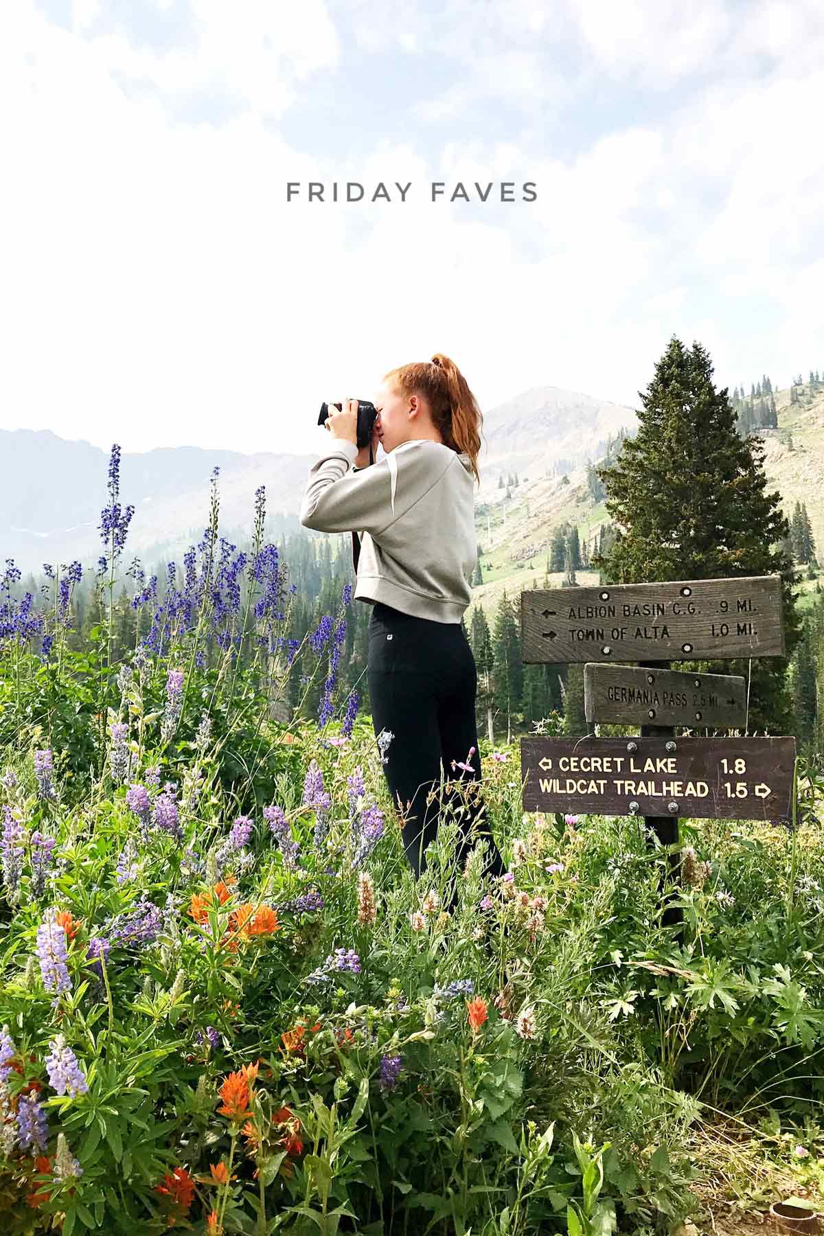 Albion Basin Alta Utah Wildflowers foodiecrush.com