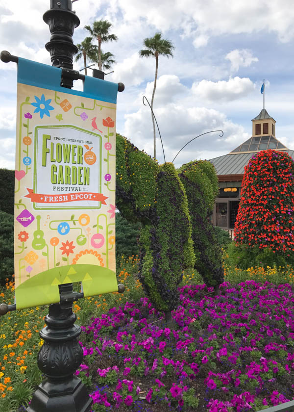 Le guide gastronomique du Festival international des fleurs et des jardins d'Epcot 2017 présente les points forts du festival et les plats préférés des gourmets. Téléchargez un guide imprimable gratuit présentant des topiaires et des jardins uniques de Disney, ainsi que des plats délectables du monde entier !