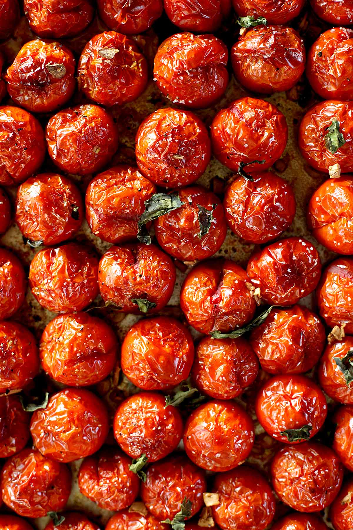 Tomates rôties au four | foodiecrush.com #four #cerise #tomates #rôties #recipe #quick