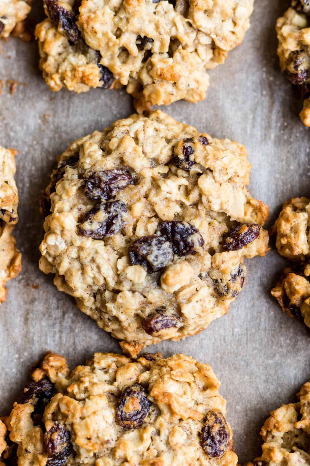 Photo en gros plan de biscuits aux flocons d'avoine et aux raisins secs sans gluten sur une plaque à biscuits après la cuisson.